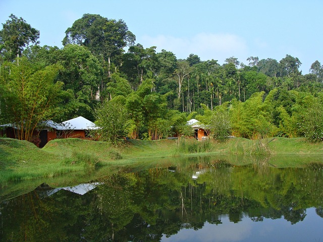 Choosing Your Room at Inventree Aranya — and Why Coorg Itself Does Most of the Work